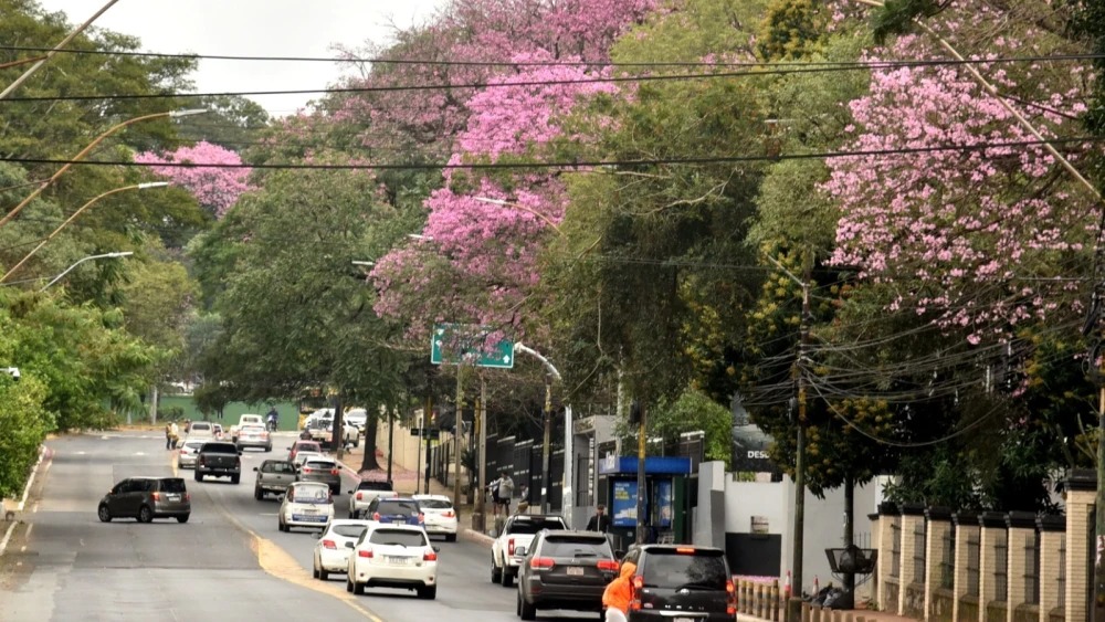 Fin de semana frío y con lluvias dispersas