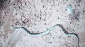 El hecho ocurrió en Bella Vista.