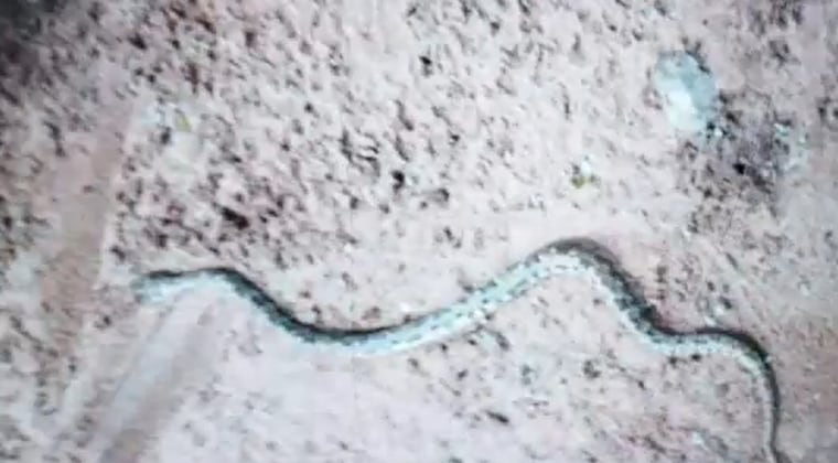 El hecho ocurrió en Bella Vista.