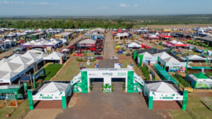 descarga - 2026-02-06T085836.407