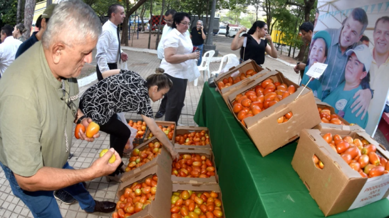 Alta demanda. Los consumidores compraron un total de 3.500 kilos de tomate en tres horaDARDO RAMÍREZ