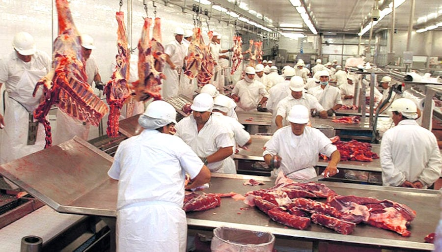 Hubo menor volumen exportado de carne hasta el mes de febrero, con precios en alza, indicó Senacsa. Foto: Archivo
