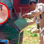 SENEPA intensifica controles y concienciación ante aumento de mosquitos - Foto: Edicion Red Suceso Multimedios