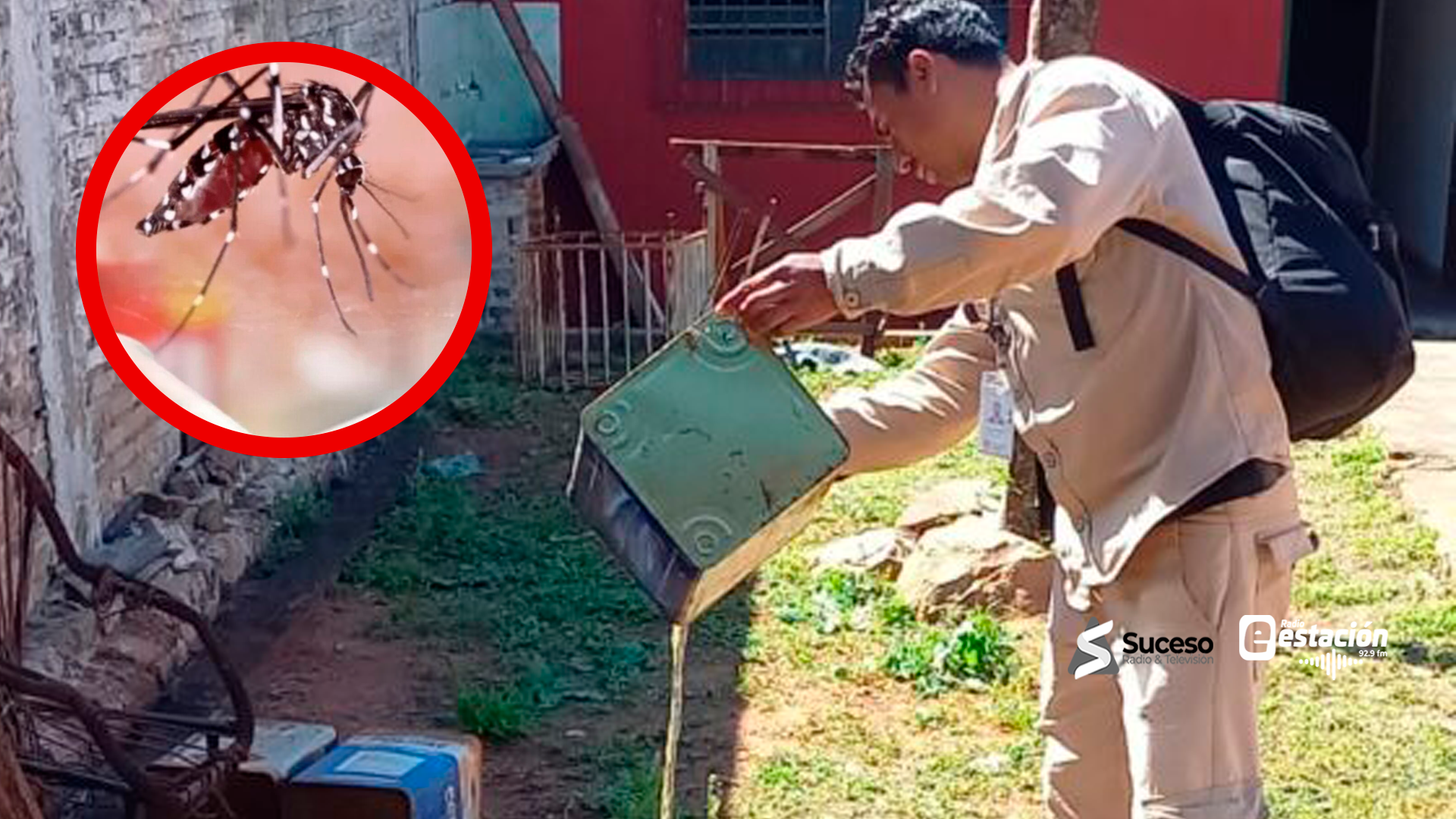 SENEPA intensifica controles y concienciación ante aumento de mosquitos - Foto: Edicion Red Suceso Multimedios