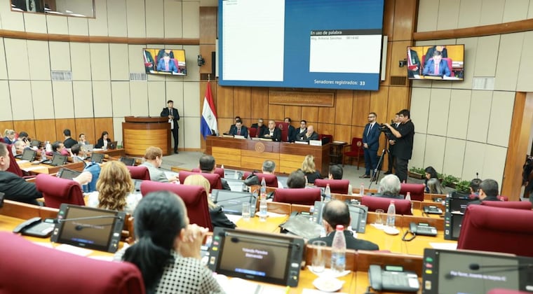 La propuesta fue presentada el 25 de marzo pasado en la Cámara de Senadores. Foto: Gentileza,