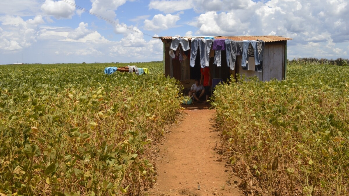 A nivel departamental, los mayores índices de pobreza monetaria total se registraron en Concepción (28,7%), seguido de Caazapá (25,1%), San Pedro (24,8%) y Guairá (24,3%).
