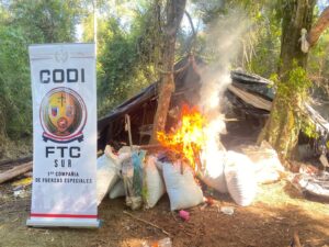 Durante los operativos fueron destruidas toneladas de marihuana