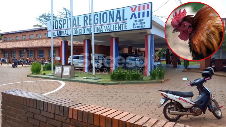 Bebé de 11 meses falleció tras infección y no descartan picoteo de gallo como origen