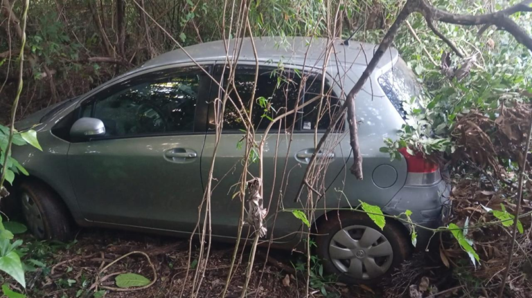 Hallan automóvil robado oculto en un yuyal en General Higinio Morínigo