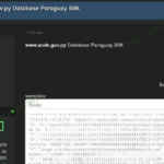 Base de datos de la ANDE que estaría circulando en internet.