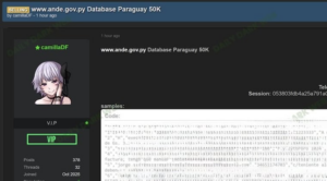 Base de datos de la ANDE que estaría circulando en internet.