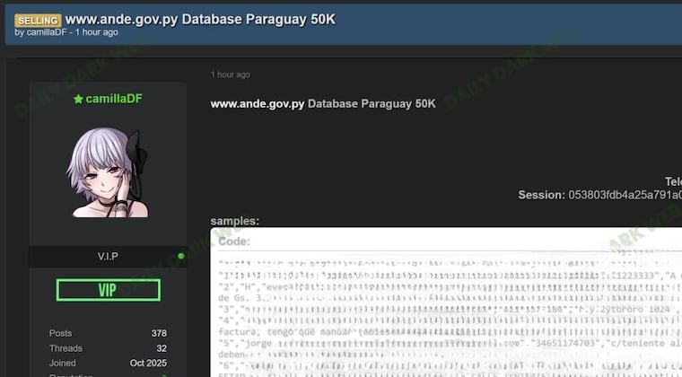 Base de datos de la ANDE que estaría circulando en internet.
