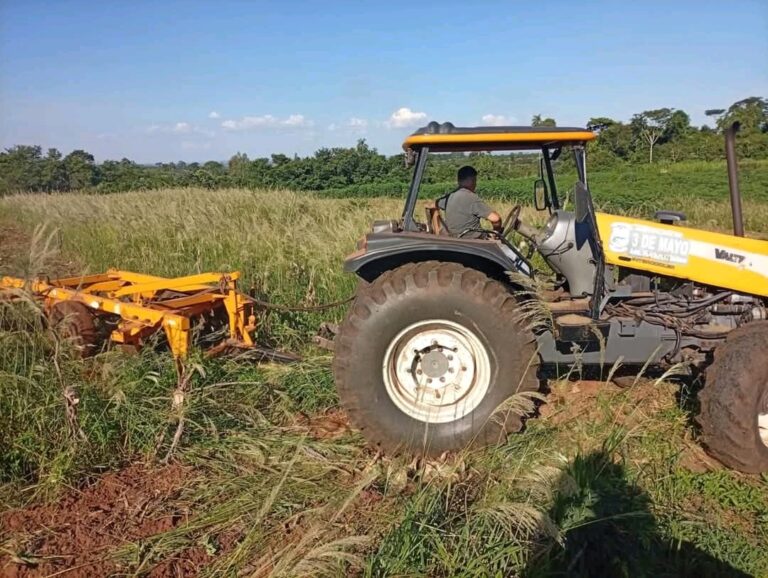 En el marco del Plan de Manejo de Suelo, se llevó adelante la preparación de tierras para 18 productores del Comité de Productores Almidoneros del asentamiento San Antonio, en el distrito de 3 de Mayo