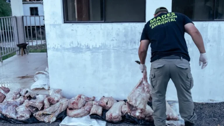 La carne del animal silvestre fue hallada en varias bolsas de arpillera.Foto: Gentileza.
