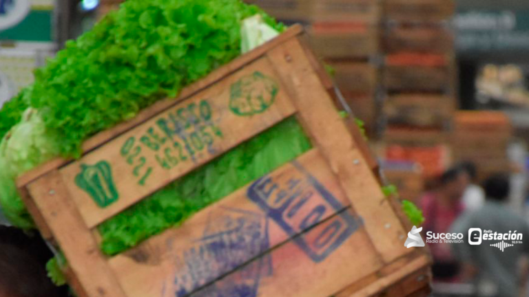 La lechuga marcó la inflación de marzo. Foto: Gentileza/Edicion Red Suceso Multimedios.