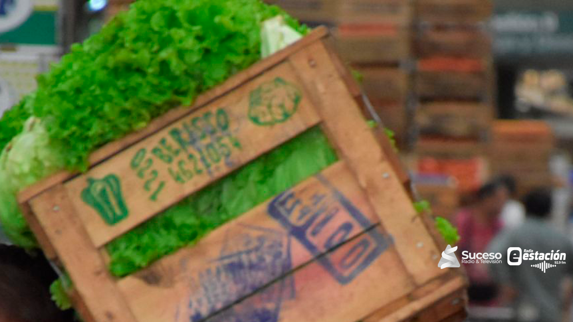 La lechuga marcó la inflación de marzo. Foto: Gentileza/Edicion Red Suceso Multimedios.