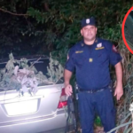 Movil recuperado en el departamento de Caazapà, y Una cámara de circuito cerrado que captó a los sospechosos. Foto: Captura de vide - Gentileza/Edición Suceso Multimedios