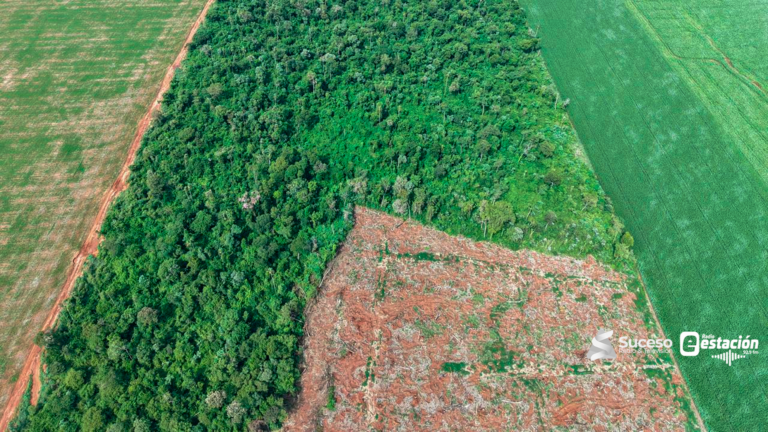 MADES detecta desmonte de 12 hectáreas en establecimiento agrícola de Caazapá