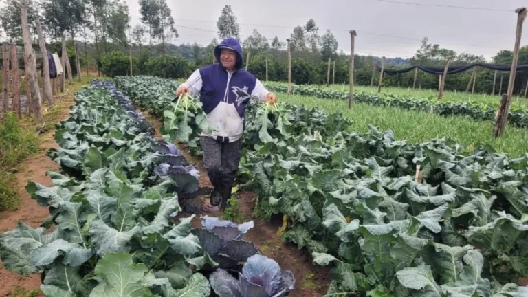 El MAG instó a los productores a implementar medidas preventivas para reducir posibles impactos negativos en los sistemas productivos.Foto: Gentileza.
