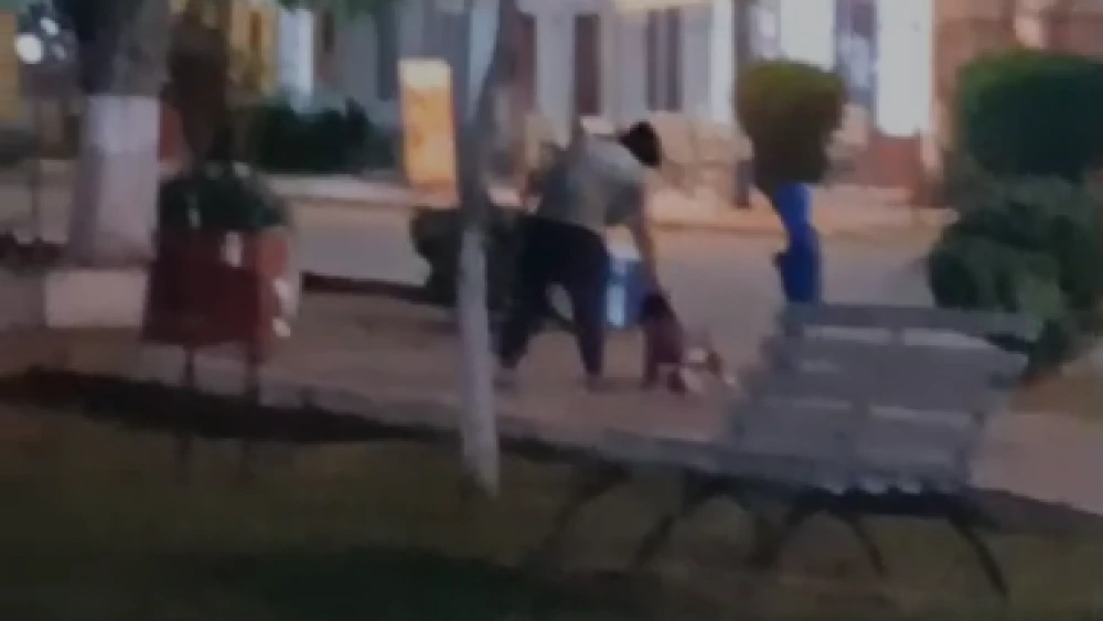 La madre fue imputada luego de ser acusada de haber agredido a sus dos hijos menores. Foto: Captura.