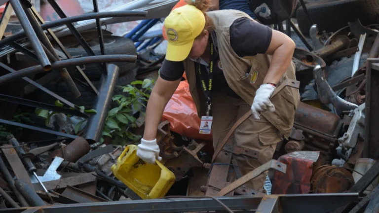 Tarea. La eliminación de los criaderos debe ser realizada no solo por las brigadas sino también por toda la población.