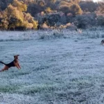 La Dirección de Meteorología e Hidrología informó que el ingreso de una masa de aire frío provocó un marcado descenso de la temperatura en gran parte del territorio nacional