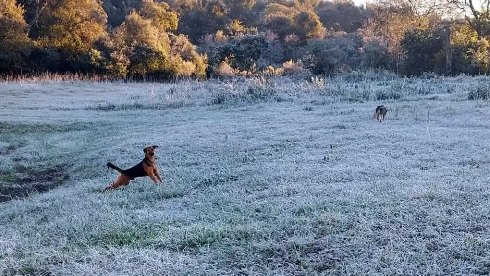 La Dirección de Meteorología e Hidrología informó que el ingreso de una masa de aire frío provocó un marcado descenso de la temperatura en gran parte del territorio nacional