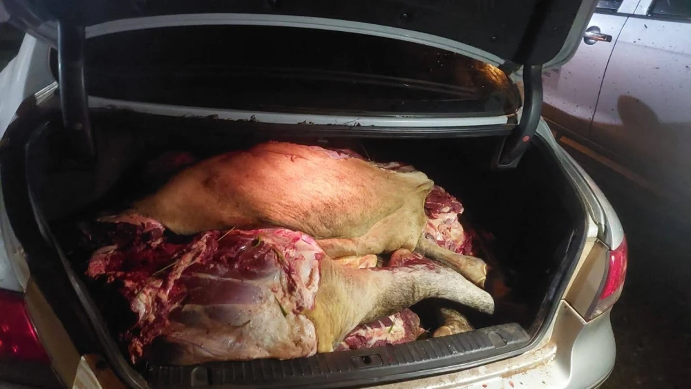 Se presume que la carne incautada es producto del abigeato. Foto: Gentileza