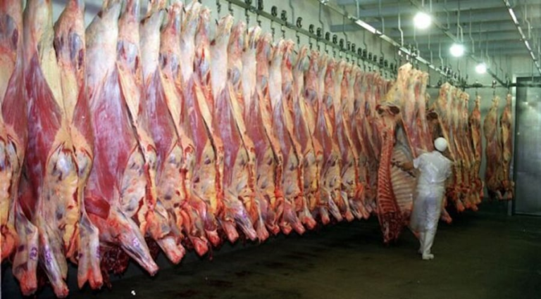 El sector exportó 217.526 toneladas de carne, menudencias y otros productos de origen animal hasta mayo. Foto: Archivo