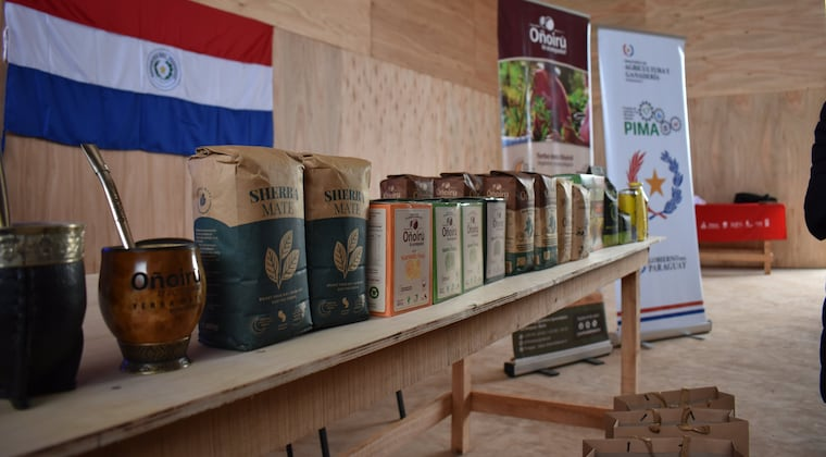 La yerba mate quiere conquistar Europa. Foto: MAG.
