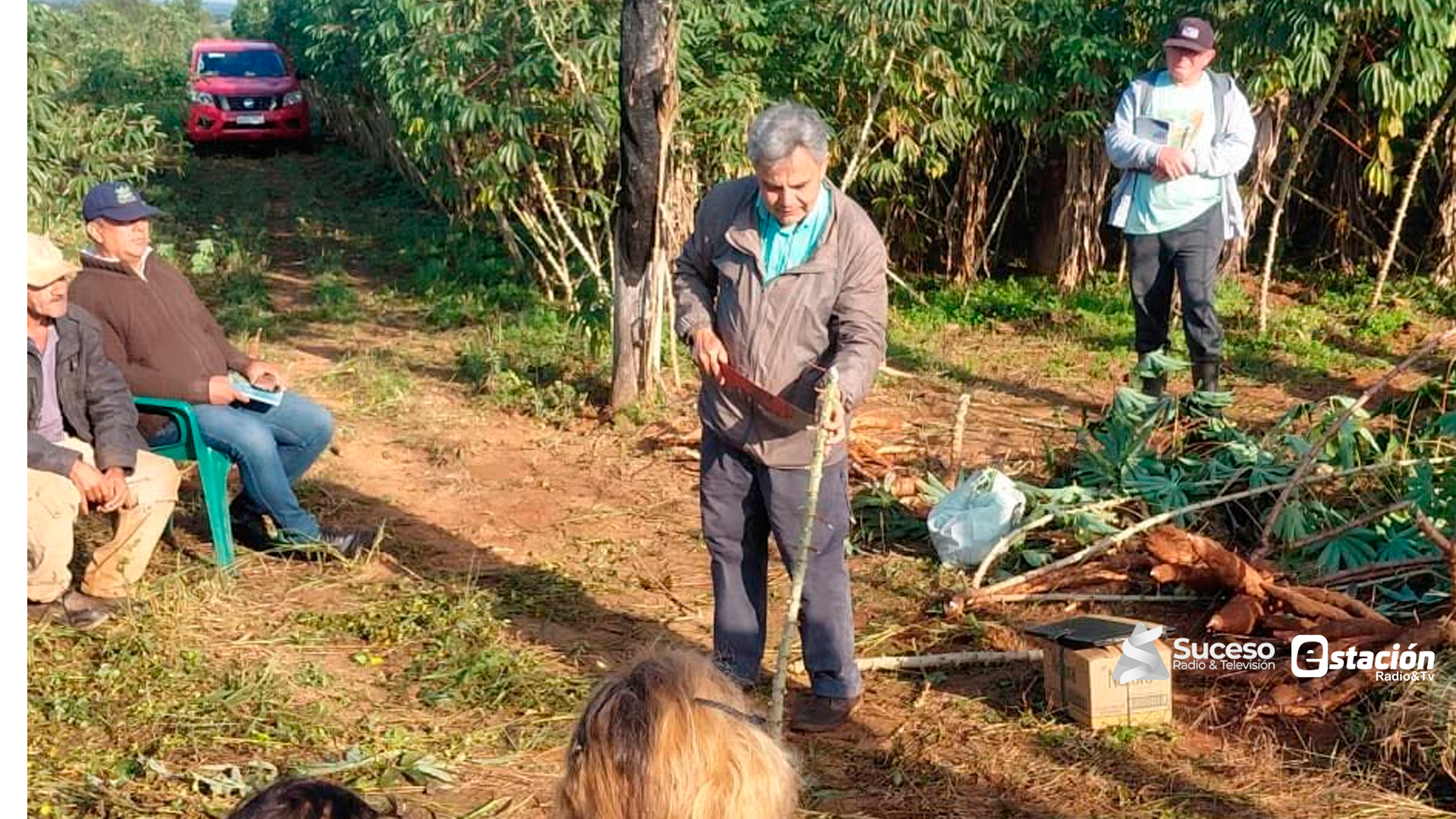 Impulsan capacitación técnica para mejorar la producción de mandioca en Buena Vista