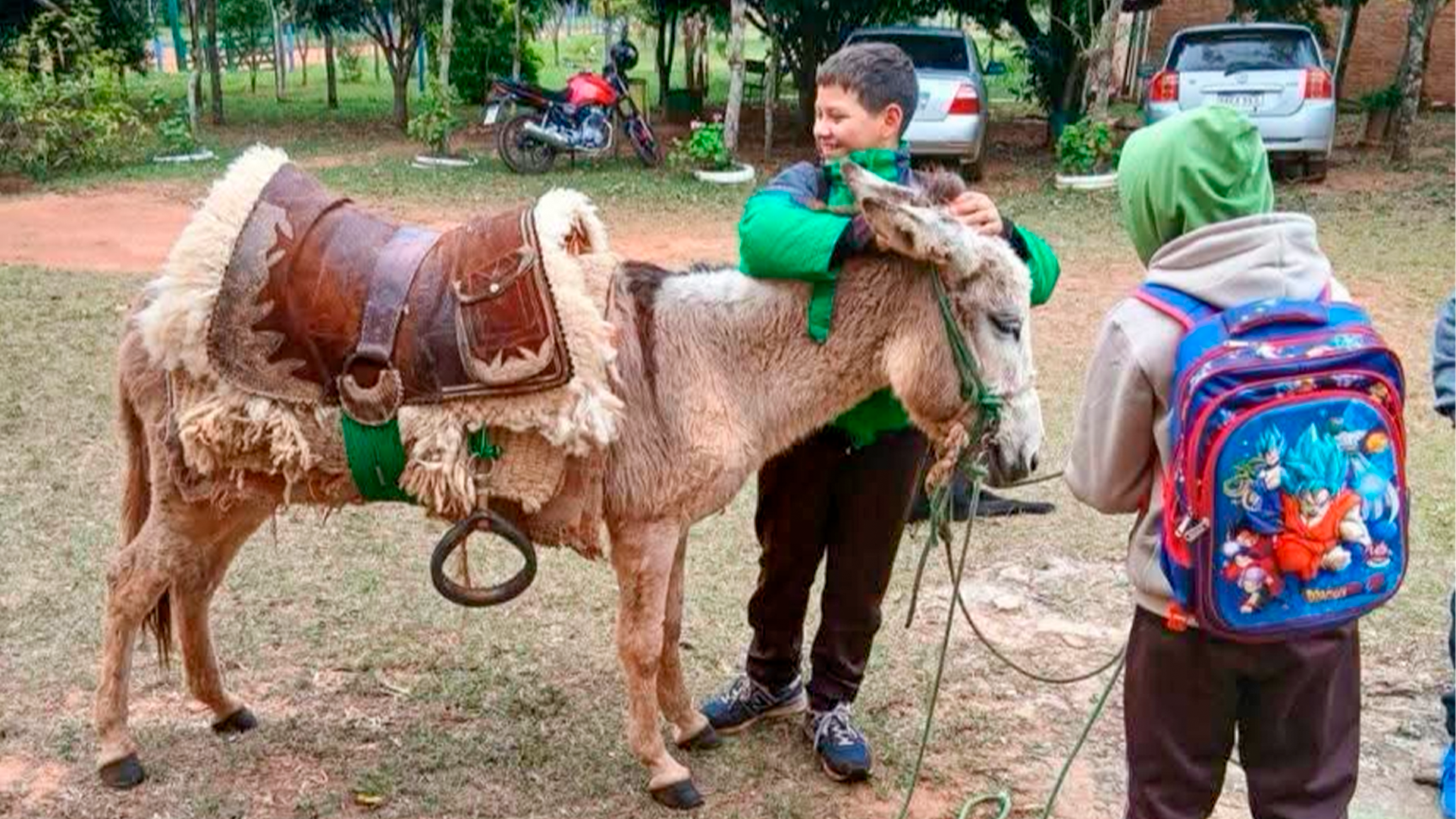 De madrugada y en burrito: el sacrificio de un niño para llegar a la escuela