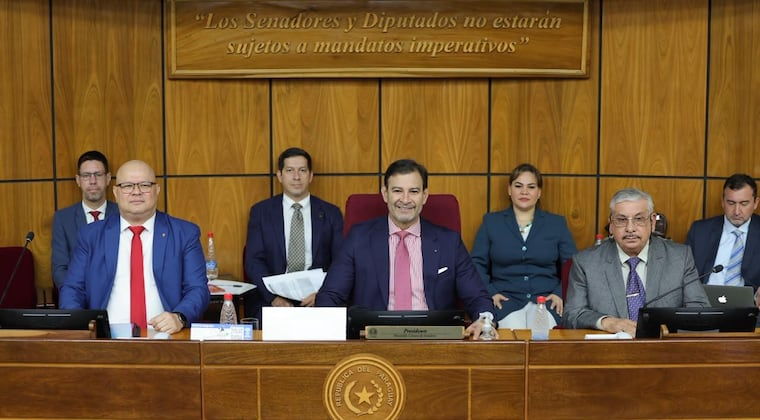 Emergencia en el IPS: comisiones dictaminan por el rechazo de los proyectos