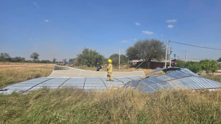Cortes de luz, casas destechadas y árboles caídos provocan los vientos fuertes en varios puntos del País