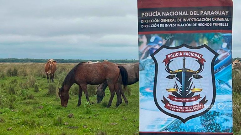 recuperan un equino denunciado como presuntamente robado