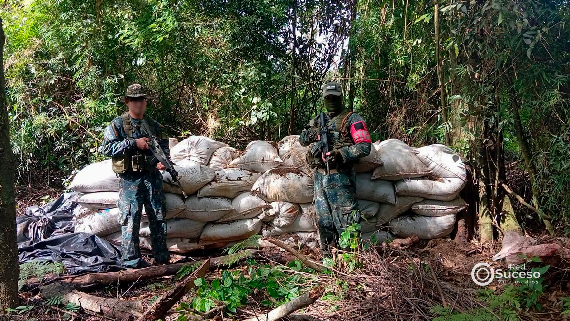 Operativo antidrogas elimina 28 hectáreas de cultivos de marihuana en Tava’i